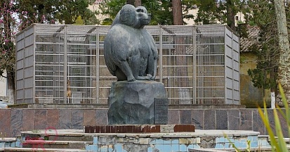 Достопримечательности - Обезьяний  питомник в Сухуме