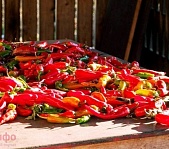 Экологический тур «Вкусная Абхазия»