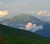 Альпийские луга - фото 12