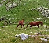 Ауадхара - фото 1