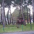 Ресторан «Сосновый бор» - фото 12
