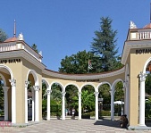 Ботанический  сад в Сухуме - фото 7
